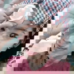 Aiwly Phetcharat profile icon