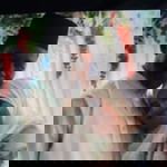 Fadhilah Zulkifli profile icon