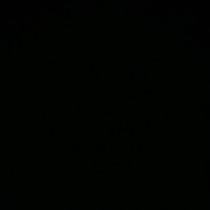 Som Pond profile icon