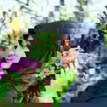 devi yunitasari profile icon