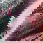 กิ่งกานต์ พูลพานิชอุปถัมป์ profile icon