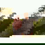 Purnama Sari Jusuf profile icon