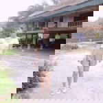 Phùng Son profile icon