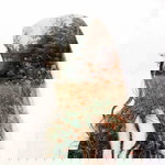 La Hiếu profile icon