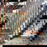 Nan Sireethron profile icon