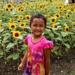 Wannapa OK profile icon