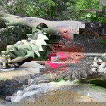 JA Panita profile icon