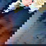 Kath Collanto Allidapse profile icon