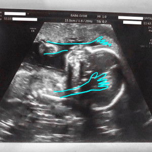 Inspiration profile icon