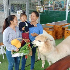 Nantida Wongsudta profile icon