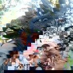 Arni Espiritu profile icon