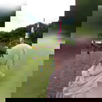 Nur Anisa profile icon