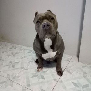 Anusara Meeuang profile icon