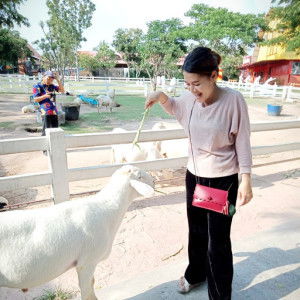 supamas paengon profile icon