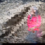 Maizatul Sheila profile icon