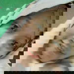 Har Tatiy profile icon