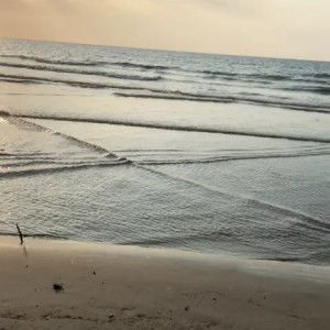 Eascheryll Jervine James profile icon