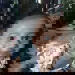 Jesica Juanita profile icon