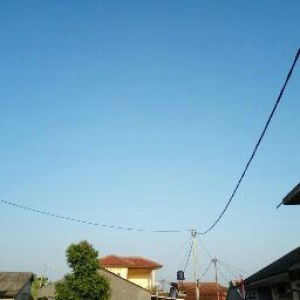 Ummu Zubair profile icon