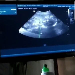 Marivel Malayas Flores profile icon