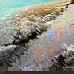 Arpaporn Leaw profile icon