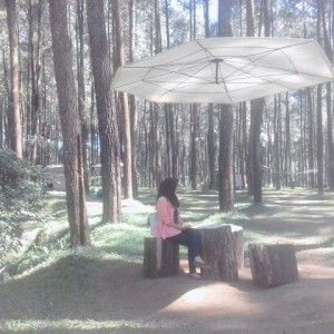 Dwinasih profile icon