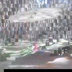 Dwinasih profile icon