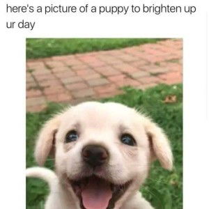 Aveline Obejas profile icon