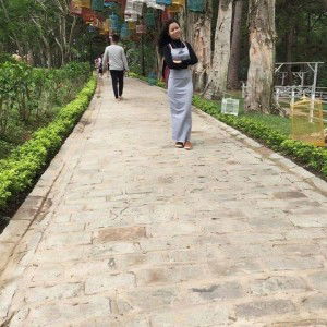 Trinh Nguyen profile icon