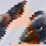 พี๊กาว เซอร์ profile icon