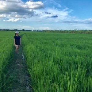 Kamson Hathaichanok Hataichanok profile icon