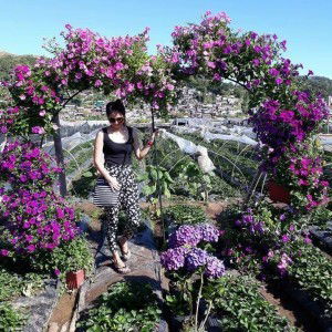 Toothsy Roll profile icon