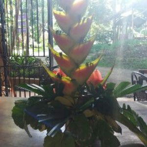 isabel ugay profile icon