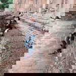 Mam Jiraporn profile icon