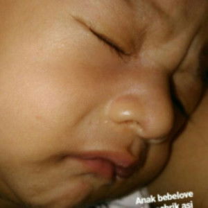 dheresta lubis profile icon