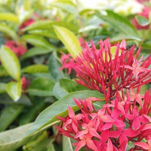 Tant Intand Wou Laand profile icon