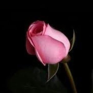 Natt Mason profile icon