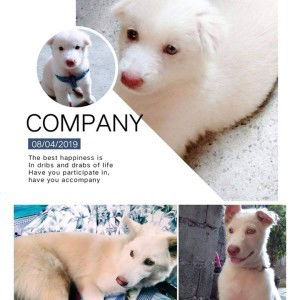 Cheska Geneta profile icon