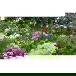 halimatun nisa' profile icon