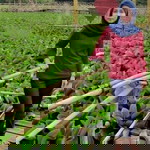 Maryam Cikal profile icon