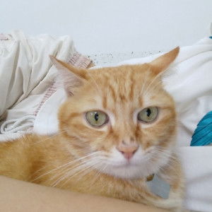 Onn PharZ profile icon