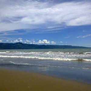 Icha Al Eatory profile icon