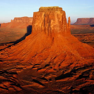 sharon rodenas profile icon