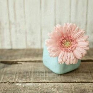 Iin Rosita profile icon