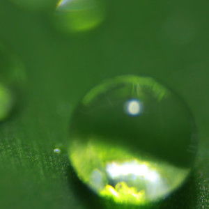 Azdemahwaty Akdan profile icon