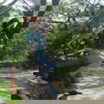 Rebecca Cafriati Girsang - Damanik profile icon