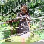 วาทินี พันธ์ประสงค์ profile icon