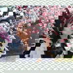 Nawiya Tawan profile icon