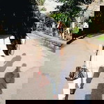 Chutima Thongnan profile icon