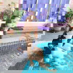 Momay Keawkasem profile icon